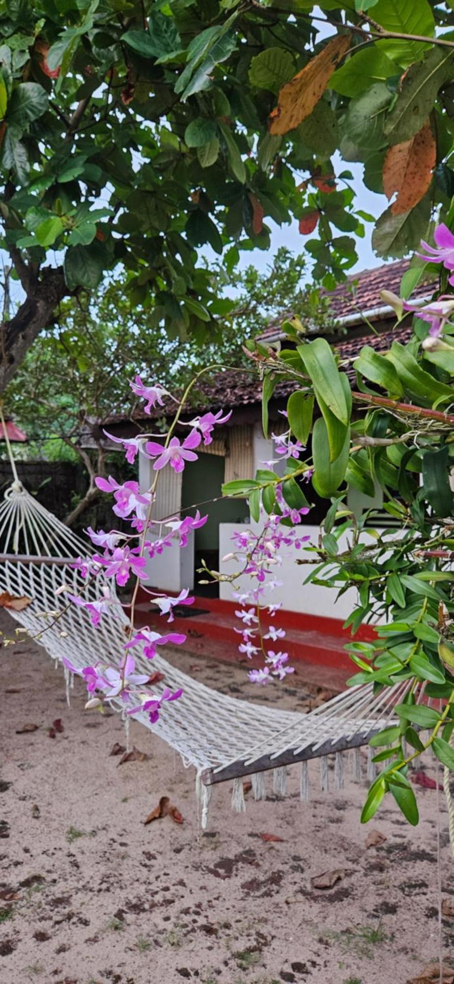 Angeo Beach House Alappuzha Exteriör bild